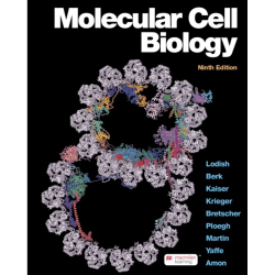 Molecular cell biology 7th edition pdf