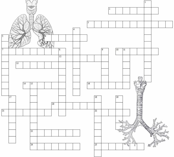 Reinforce activity crossword puzzle answers