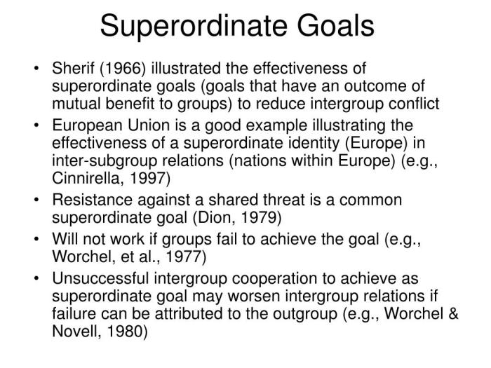 Superordinate goals ap psychology definition